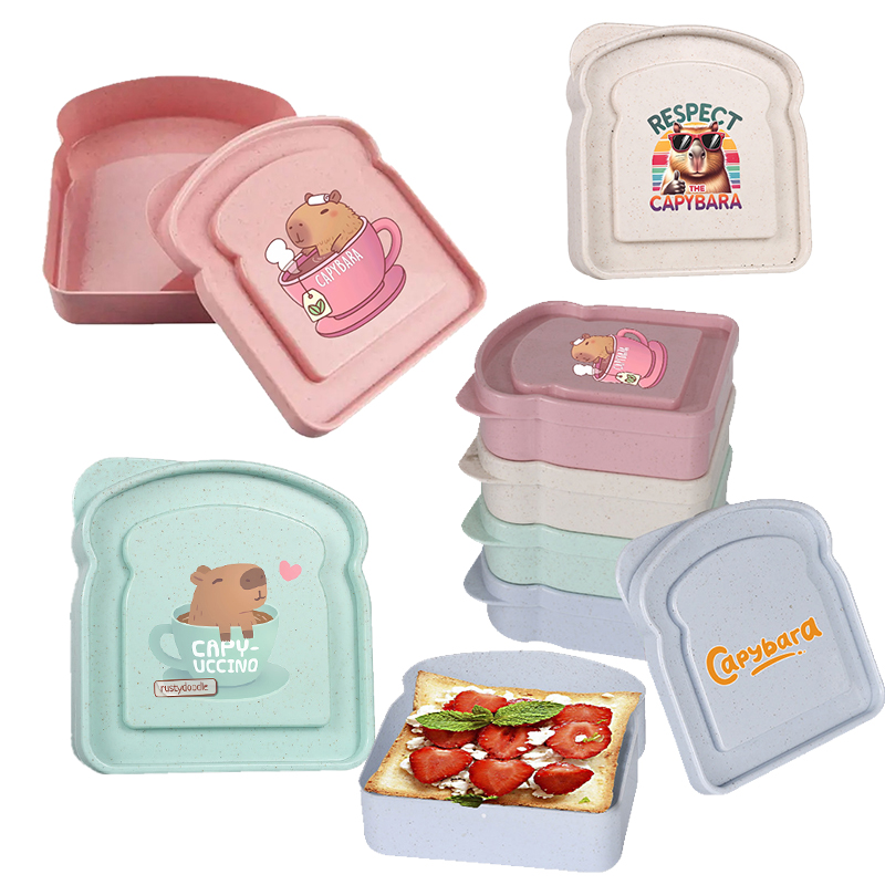 Food Snacks Box - Capybara Sandwich Voedselopbergdoos Container Salade Fruit