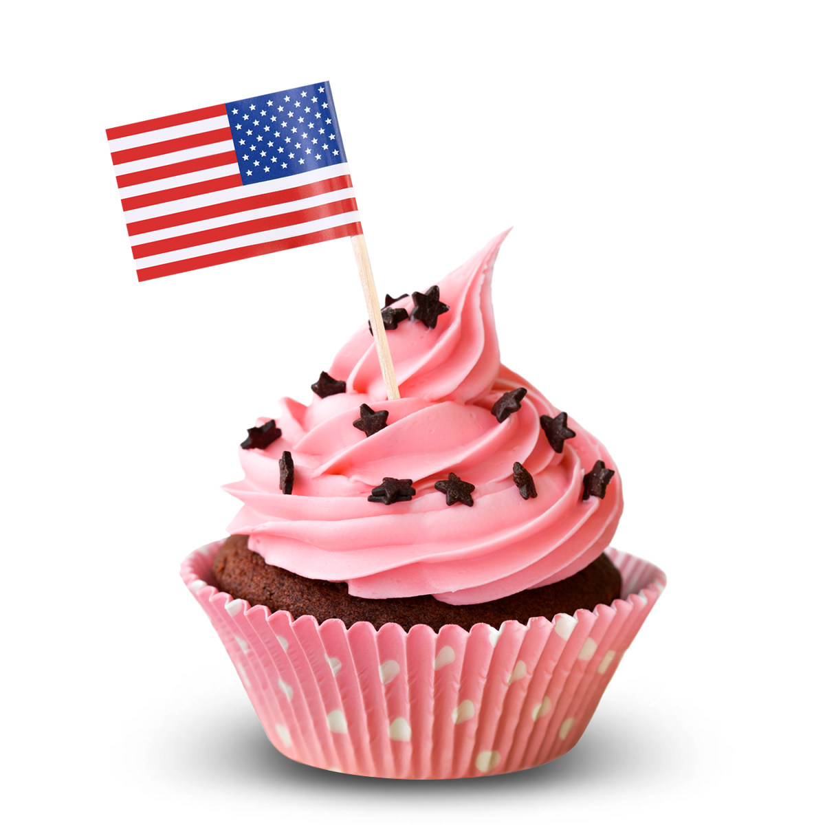 Food Snacks For Party - 100 stuks Amerikaanse vlagprikkers 2,5 inch