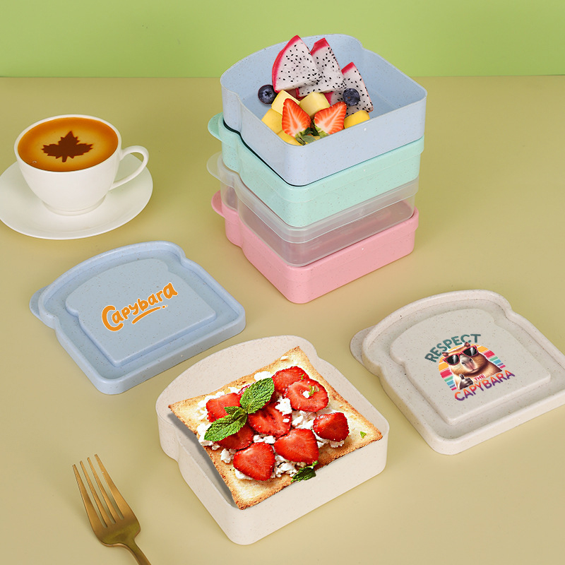 Capybara Sandwich Voedselopber - Food Snacks Box recensie en prijs